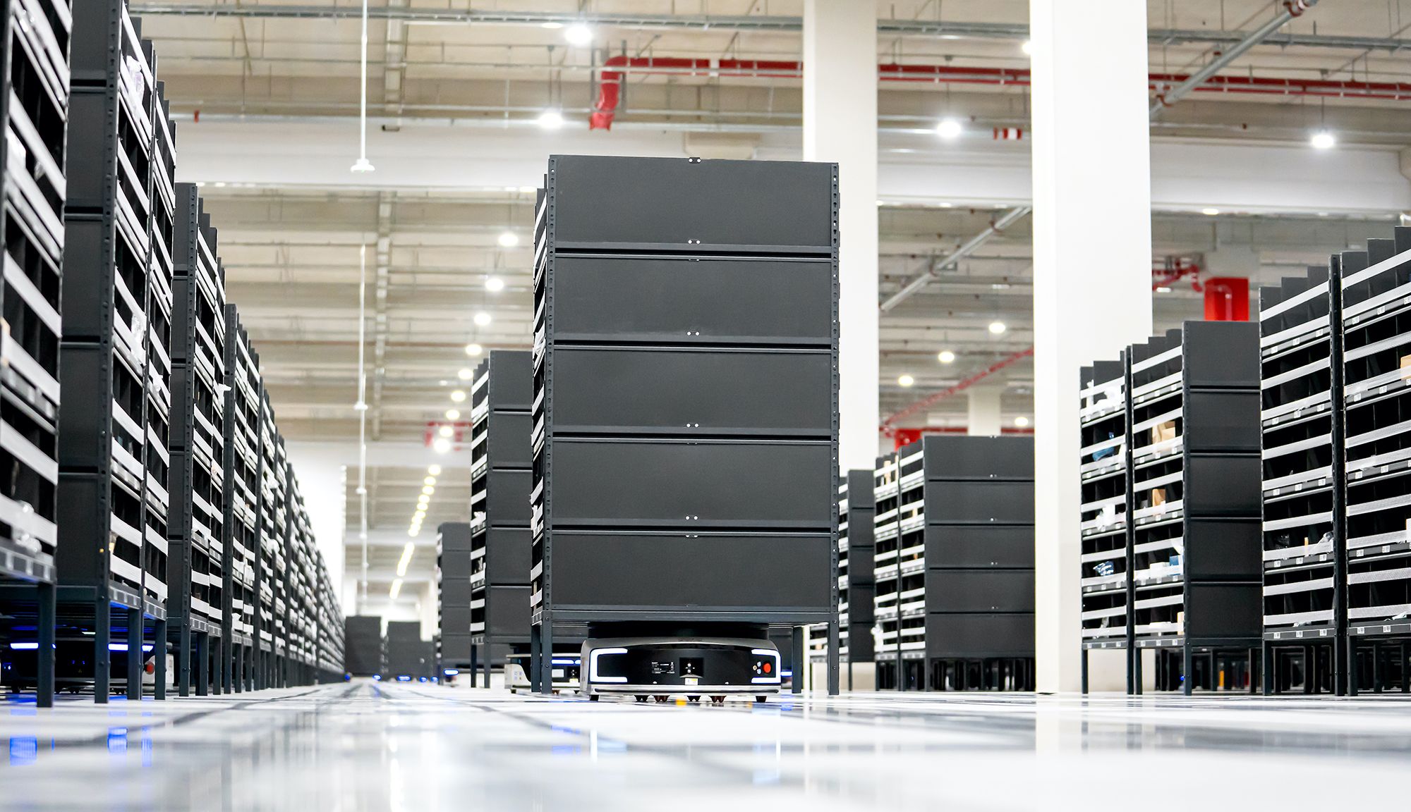 Coupang's Daegu Fulfillment Center: A Look Inside the Future of Logistics