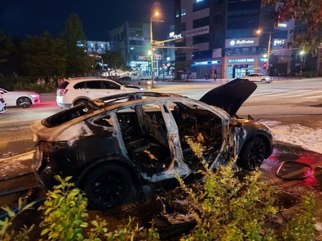 Fire Engulfs Tesla Electric Vehicle in South Korea