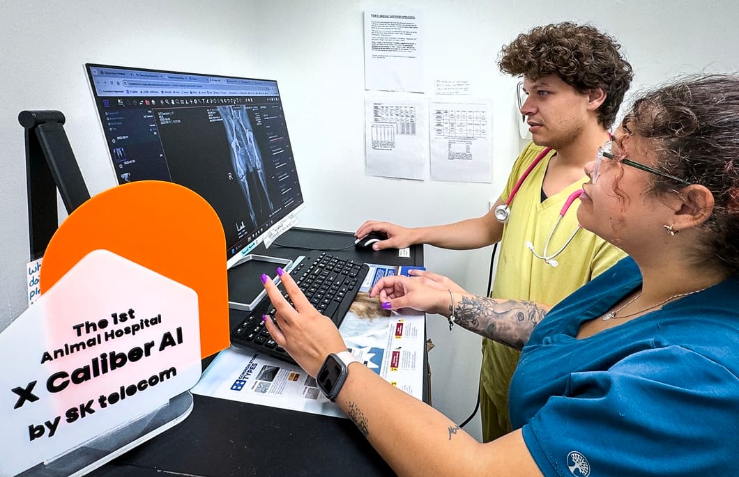 SK Telecom Launches AI Vet Diagnosis Tool in North America