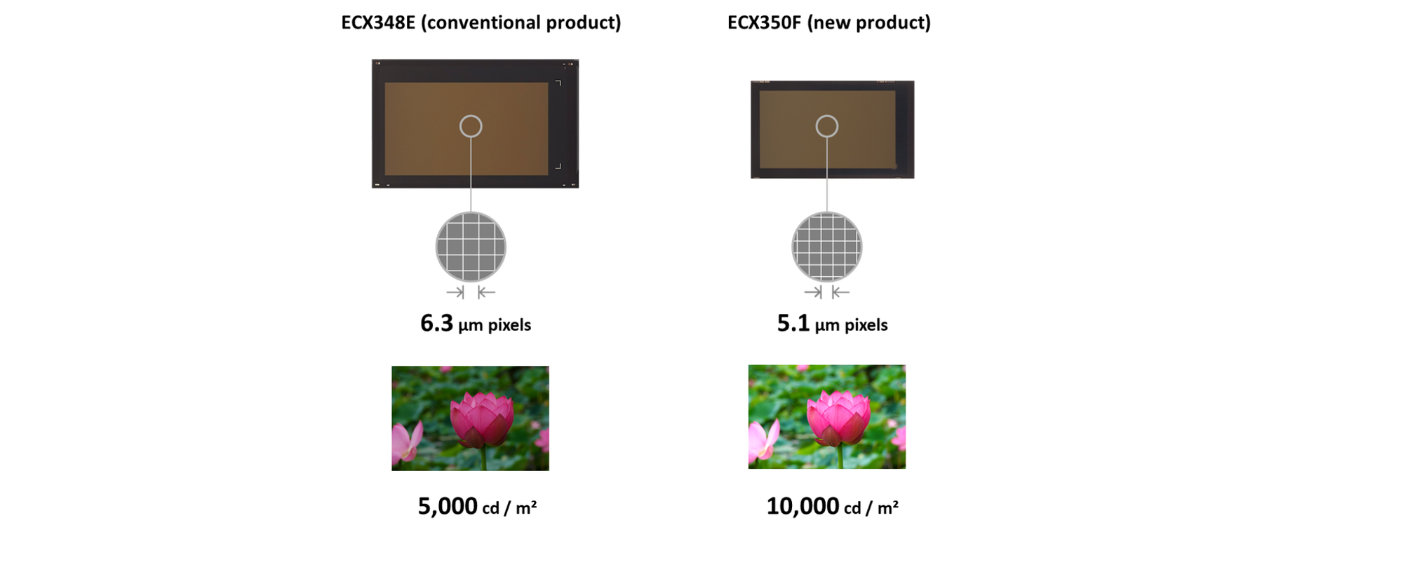 Sony to Launch High-Performance OLED Microdisplay for AR Glasses