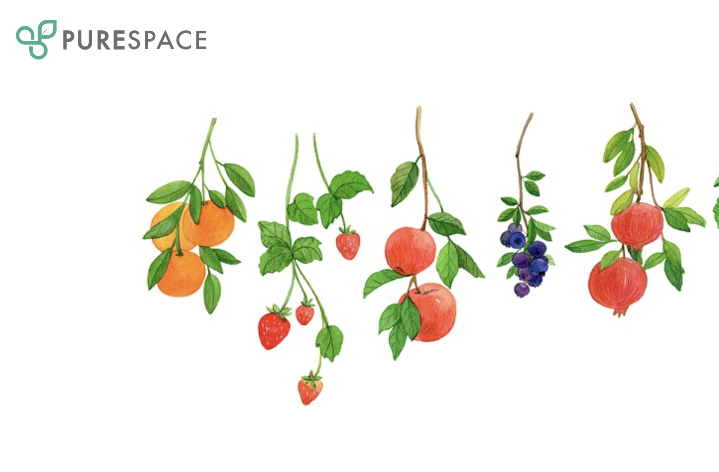 PURESPACE Raises $4.1M from Altos Ventures for Food Tech