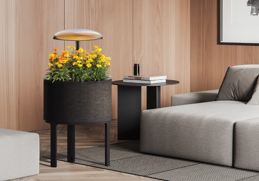 LG to Unveil Smart Indoor Garden System at CES 2025 post image